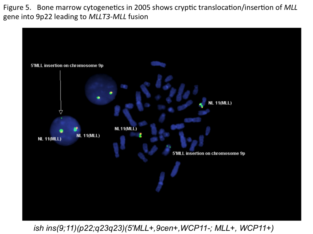 Figure 5